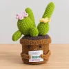 (Finished Product)Crochet Flower Potted Doll with Positive Card Desktop Ornaments, Potted Plants, Bouquets Gift Home Decor