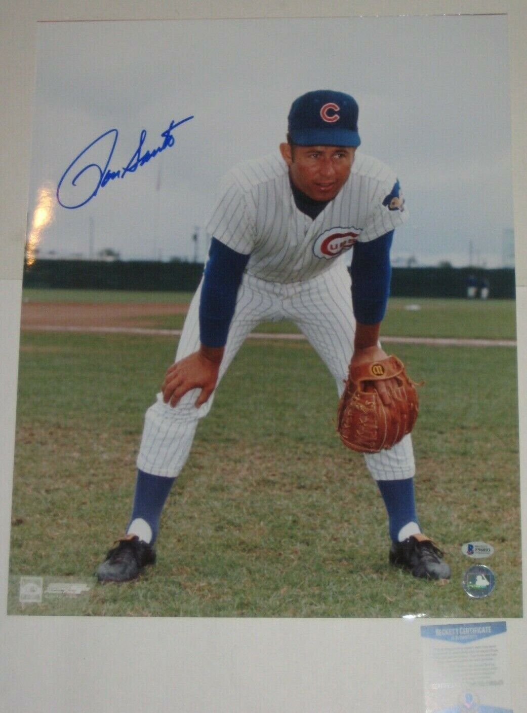 RON SANTO Signed CUBS 16 x 20 Photo Poster painting with Beckett COA