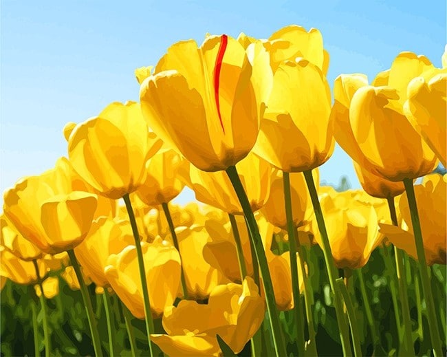 

Yellow Tulip Flower – Paint By Numbers - 40*50CM, 501 Original