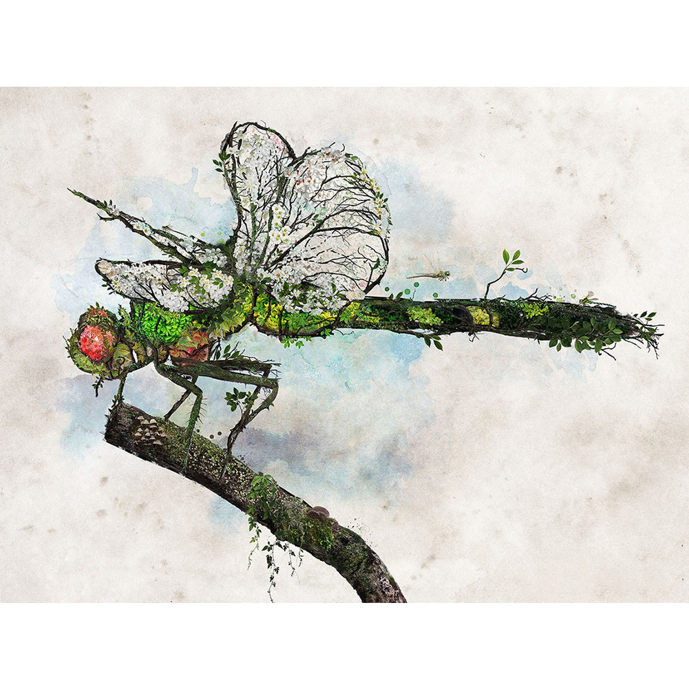 

Dragonfly Art - Round Drill Diamond Painting - 30*40CM, Round diamond 30*40cm, 501 Original