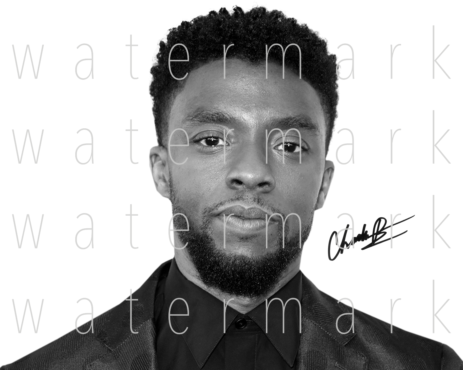 Chadwick Boseman Black Panther signed 8X10 print Photo Poster painting picture poster autograph