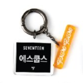 SEVENTEEN Exhibition Follow Fellow Member Name Keychain officialsvtshop