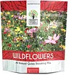 Wildflower Seeds Annual Quick Blooming Mix Packet over 7,500 Open Pollinated Seeds