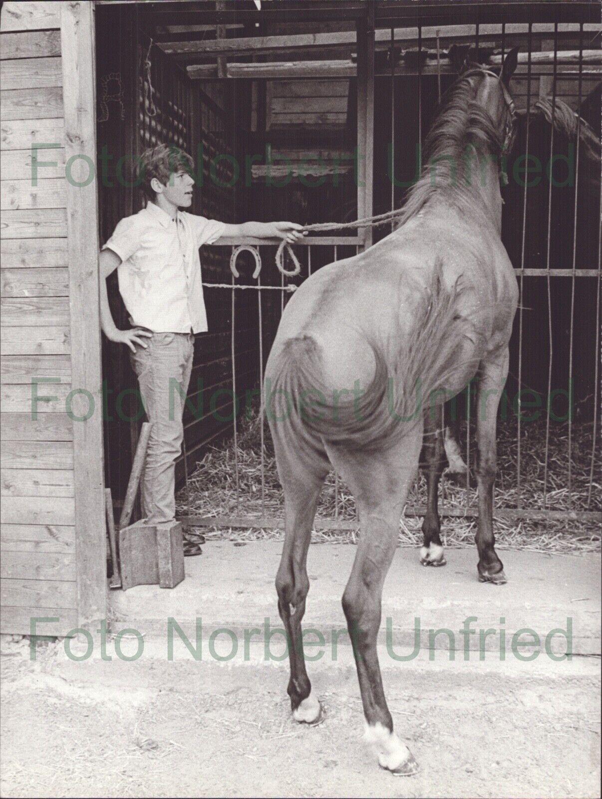 Heintje With Pferd - Original Vintage Press Photo Poster painting Without Autograph (UN-131