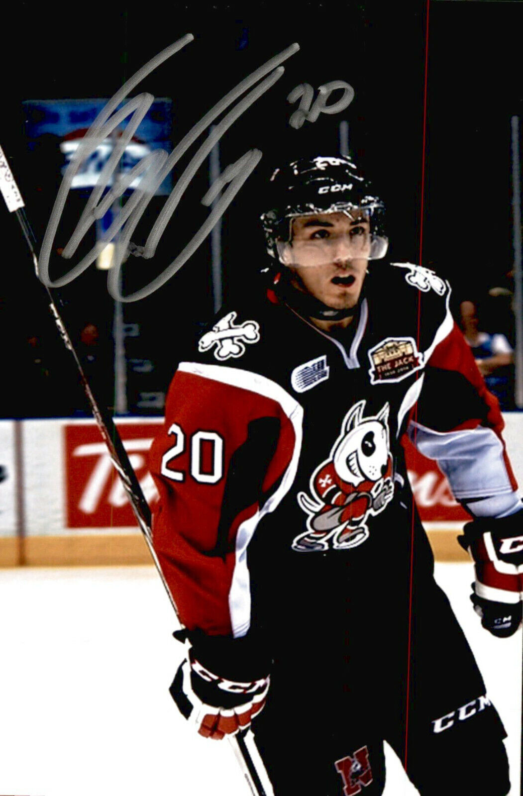 Zach Wilkie SIGNED 4x6 Photo Poster painting NIAGARA ICE DOGS