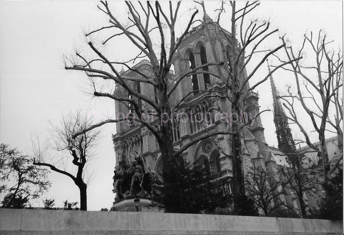 NOTRE DAME CATHEDRAL Exterior TREE Abstract FOUND Photo Poster painting Color PARIS FRANCE 011 4