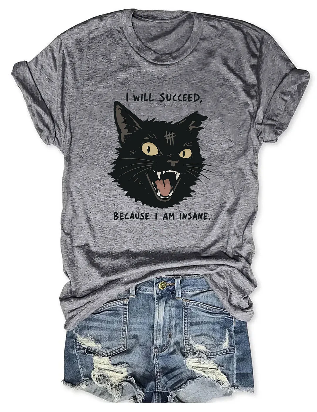 I Will Succeed Because I Am Insane T-shirt