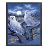 Owl - 14CT Counted Cross Stitch - 40*50cm