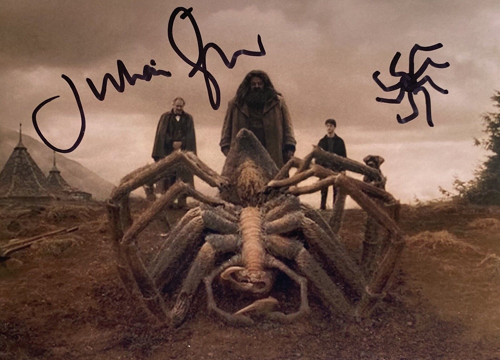 Julian Glover Genuine Hand Signed Aragog 6X4 Harry Potter Photo Poster painting