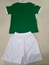Joyfball 2025/2026 Kids Size Palmeiras Home Soccer Jersey 1:1 Thai Quality