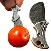 Mini Titanium Compact Bottle Opener & Cutter Small Bottle Opener Keychain Coin Knife for Packages Camping DIY & Everyday Carry Gear