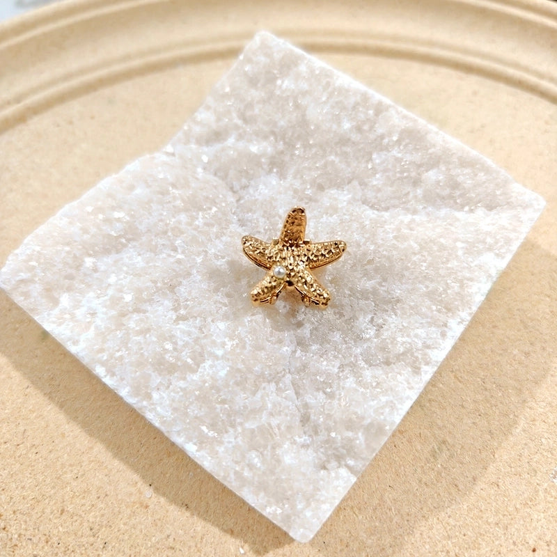 Women’s Minimalist Classic Style Solid Color Alloy Plating Hair Claws