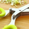 5 Blade Kitchen Salad Scissors (🔥 Hot Sale-50% Off 🔥)