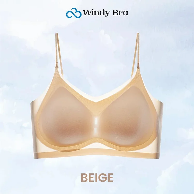 WindyBra -  70% OFF - Summer seamless ultra-thin plus size ice silk comfort bra