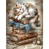Book Cat - Full Round Drill Diamond Painting