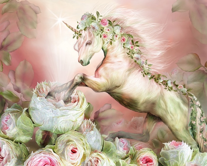 

Unicorn Rose – Paint By Numbers - 40*50CM, 501 Original