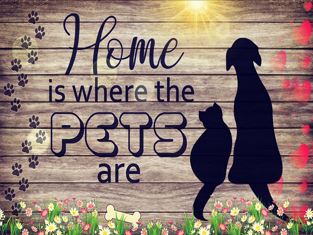 

Pet Home Letter - Square Drill Diamond Painting - 40*30CM, 501 Original