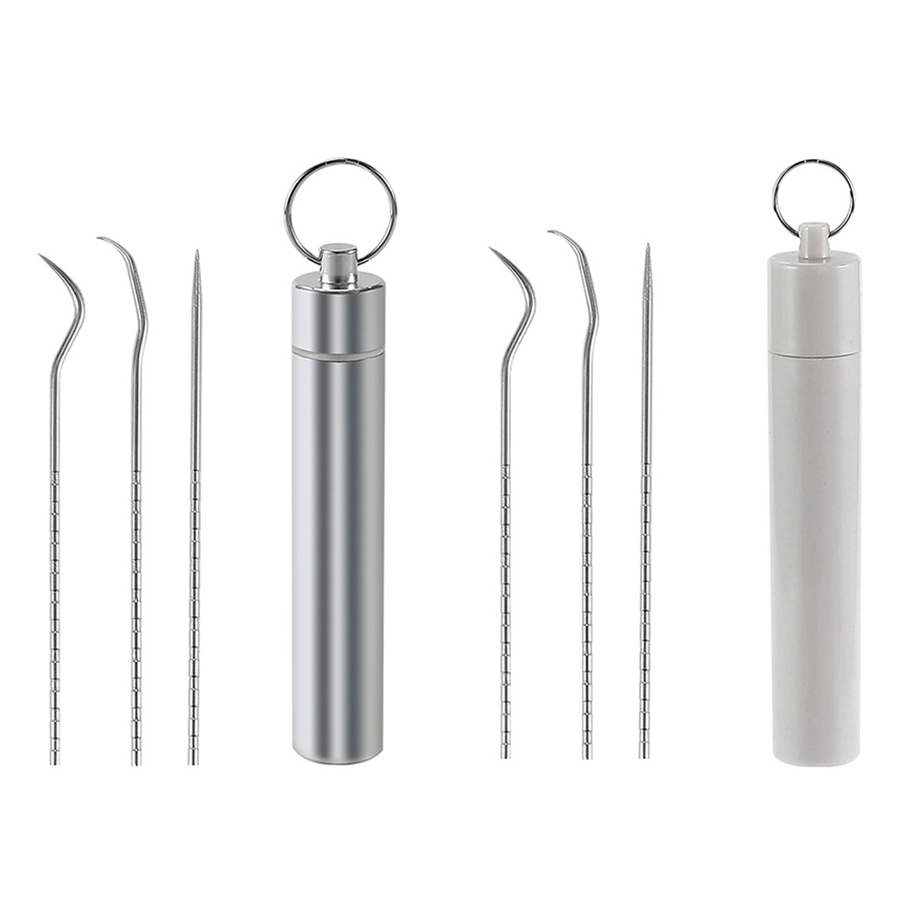 

Stainless Steel Toothpick Set With Portable Holder Travel Teeth Pick Tools, Plastic tube, 501 Original