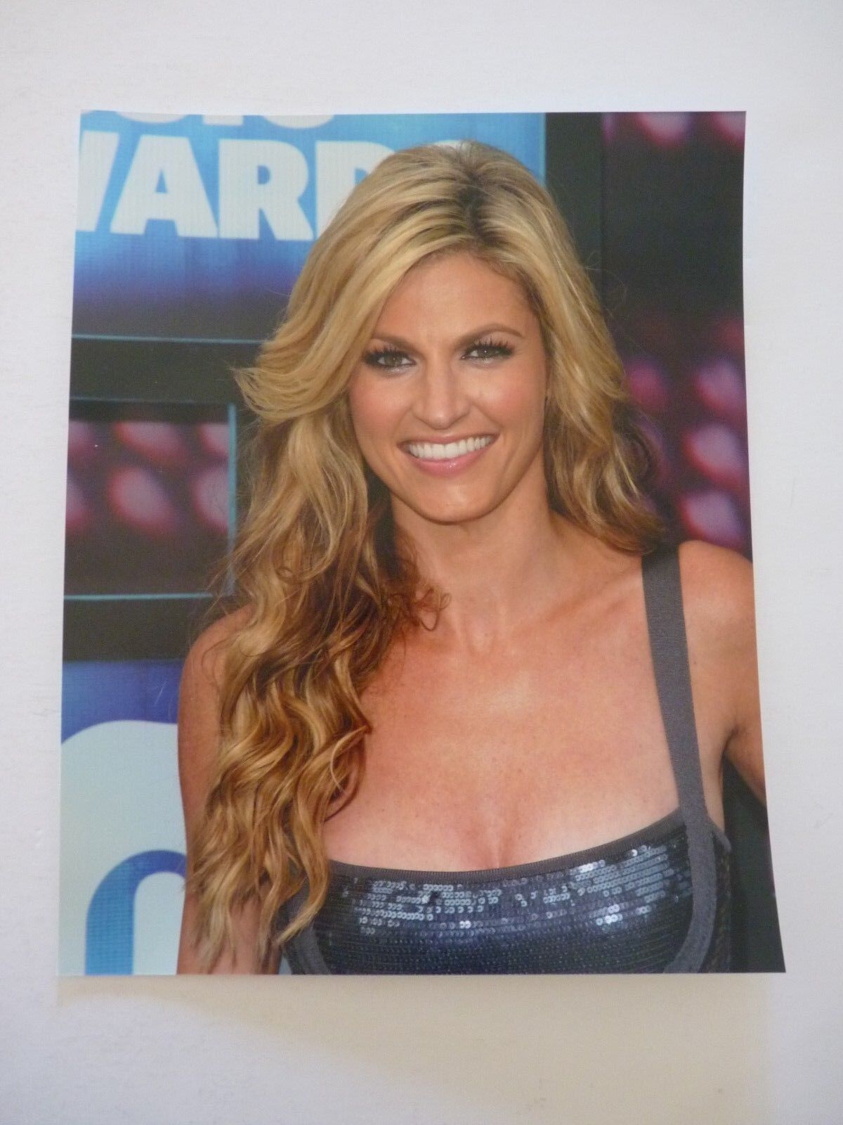 Erin Andrews TV Sportscaster Personality 8x10 Color Promo Photo Poster painting