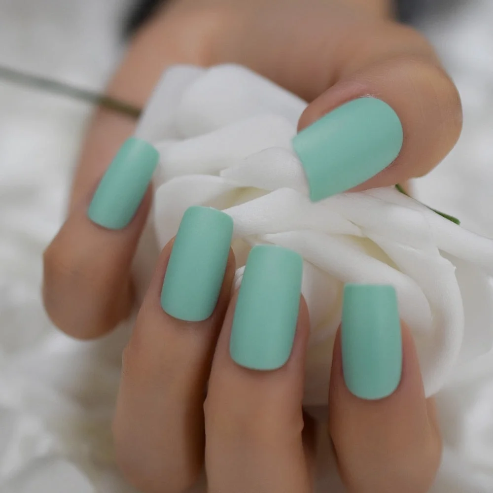 Gorgeous Cream False Nails Long Iridescent Matte Fake Nails Frost Art Design DIY Full Free Artificial False Nails 24-Nail Inspo