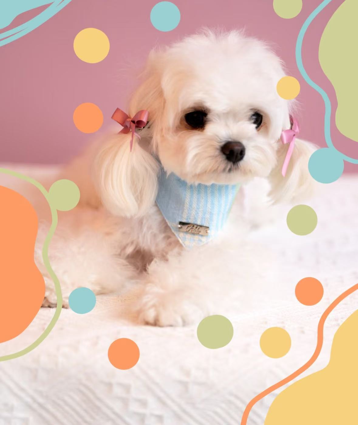 Lovely Triangular Saliva Towels For Dogs And Cats
