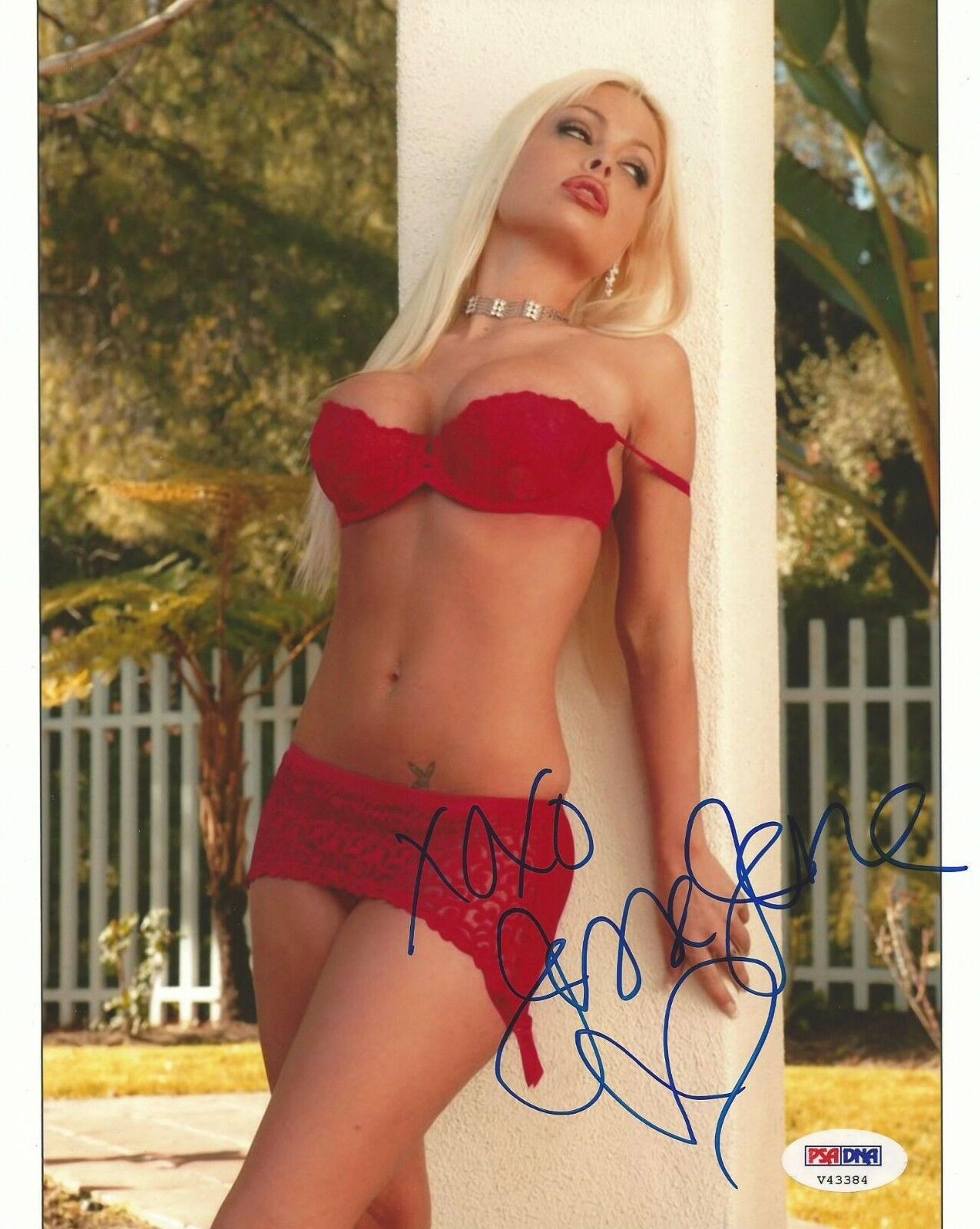 Jesse Jane Signed 8x10 Photo Poster painting PSA/DNA COA Picture Autograph Playboy Adult Star 4