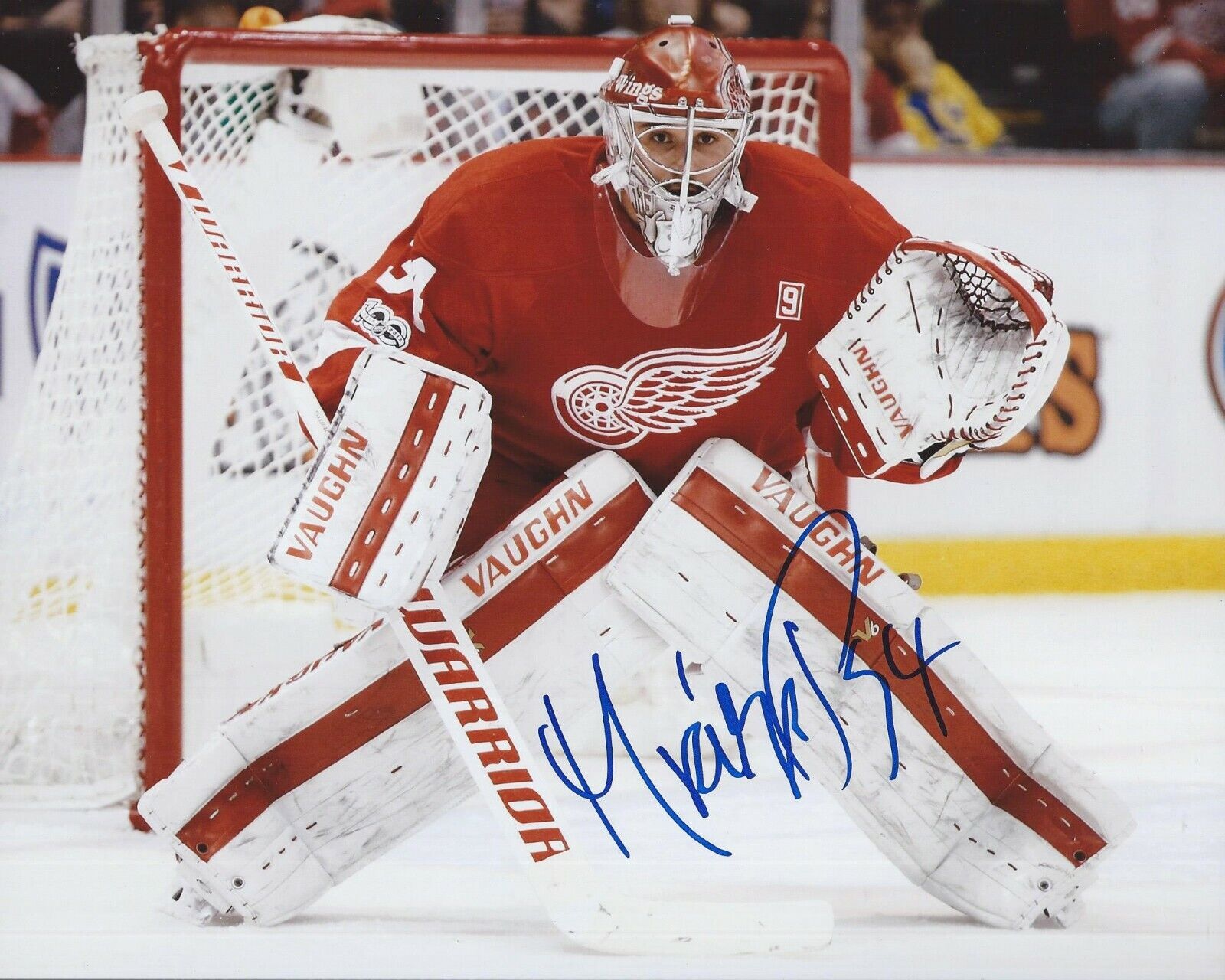 Petr Mrazek Signed 8x10 Photo Poster painting Detroit Red Wings Autographed COA