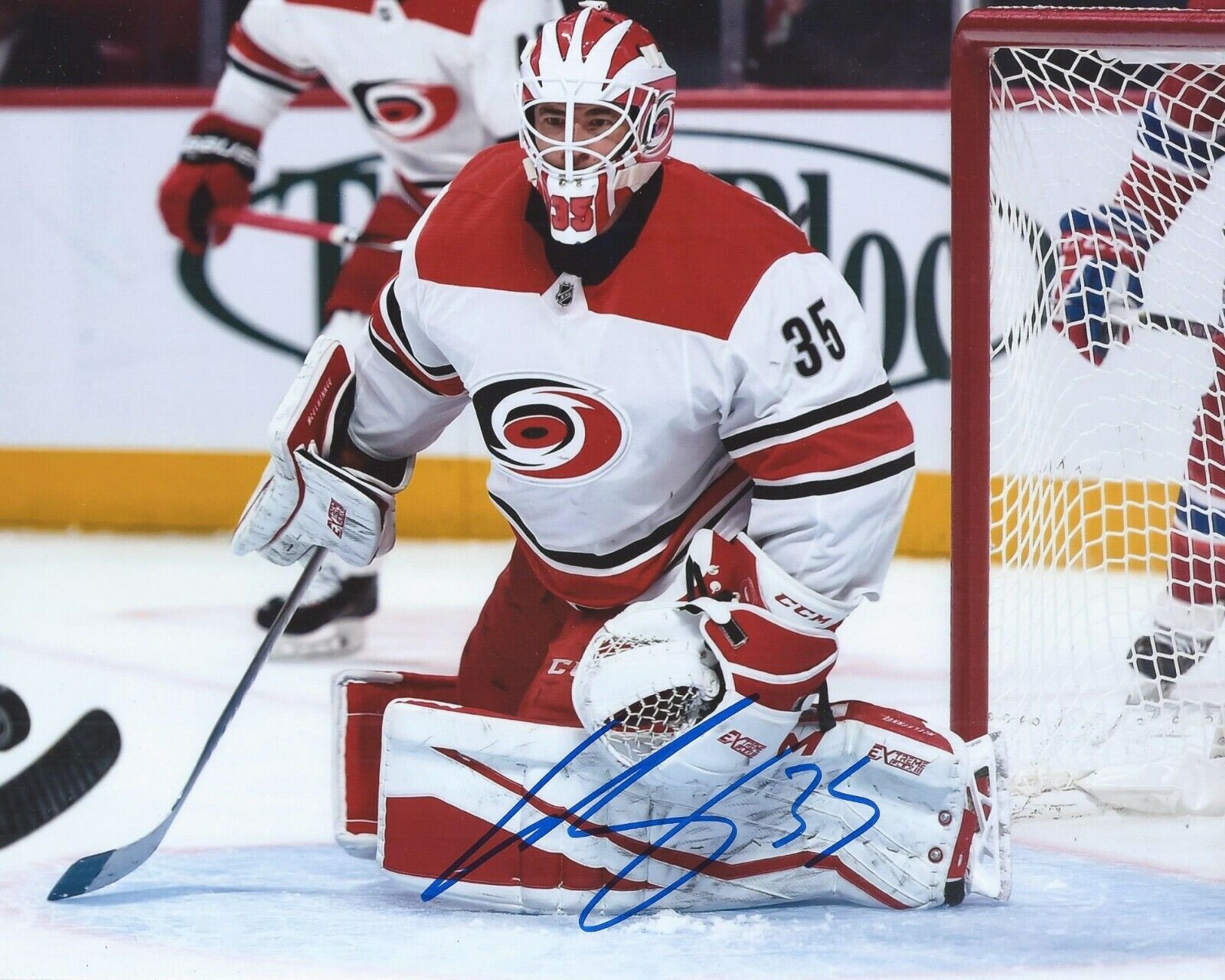 Curtis McElhinney Signed 8x10 Photo Poster painting Carolina Hurricanes Autographed COA