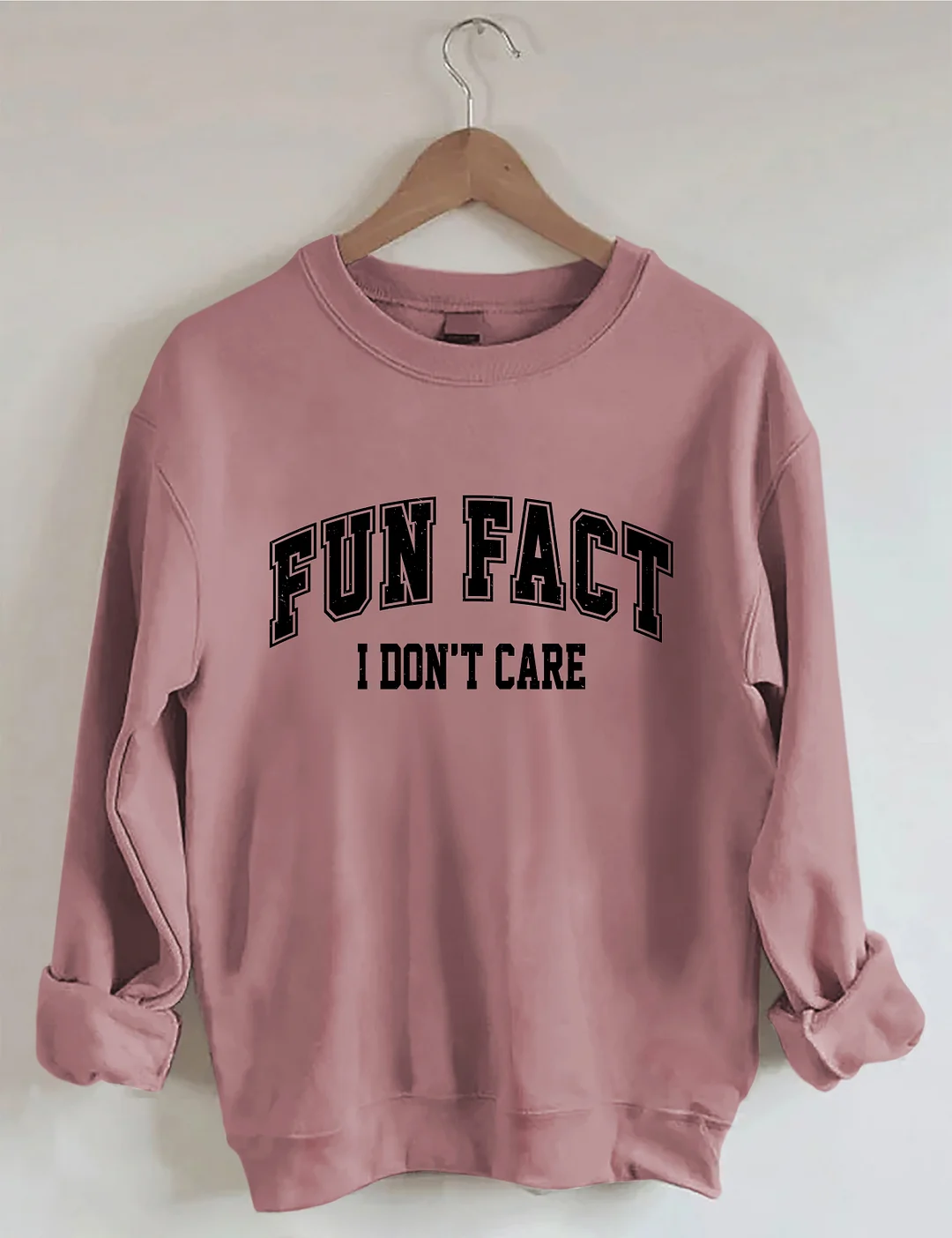 Fun Fact I Don't Care Sweatshirt