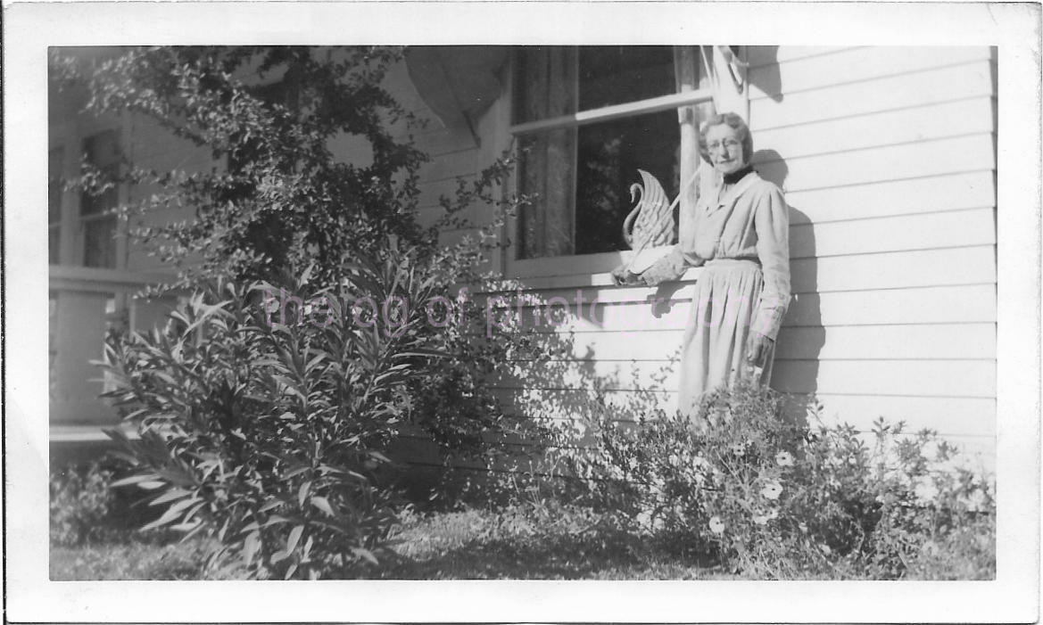 SWAN LADY Vintage FOUND Photo Poster painting Woman bwOriginal Snapshot 07 30 S