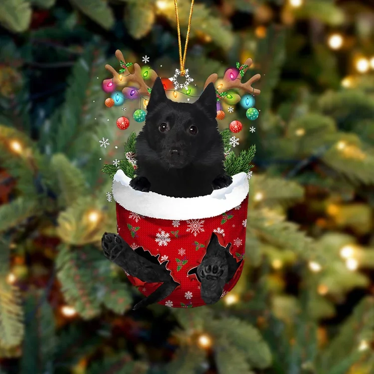 Schipperke In Snow Pocket Christmas Ornament trabladzer