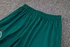 Joyfball 2024/2025 Palmeiras Long Zipped Jacket Dark Green Football Shirt 1:1 Thai Quality