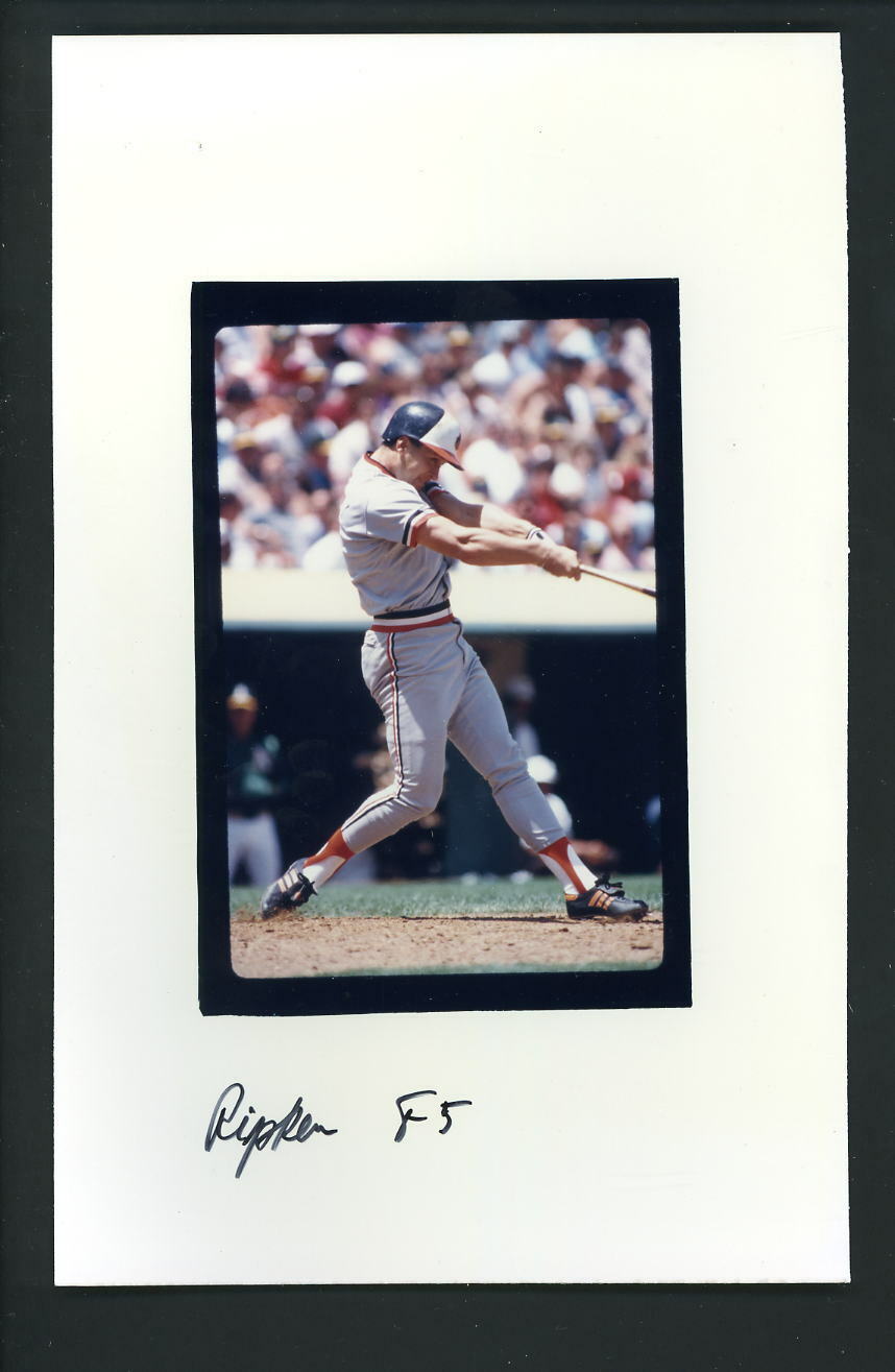 Cal Ripken Press Original COLOR Photo Poster painting 5 x 8 Baltimore Orioles action swinging