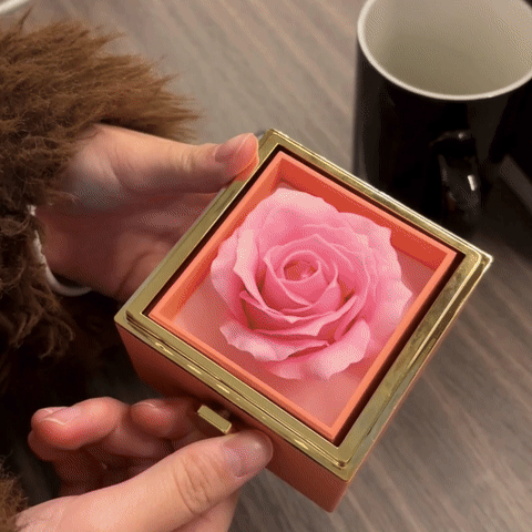 未命名的设计.mp4 [video-to-gif output image]