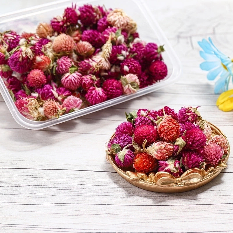 Flower Dried Flower Party Dried Flower