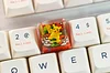 Pokémon Keycap New Pokémon Mechanical Keyboard Resin Translucent Keycap Pickup Gengar Game Keycap Resin Keycap Handmade