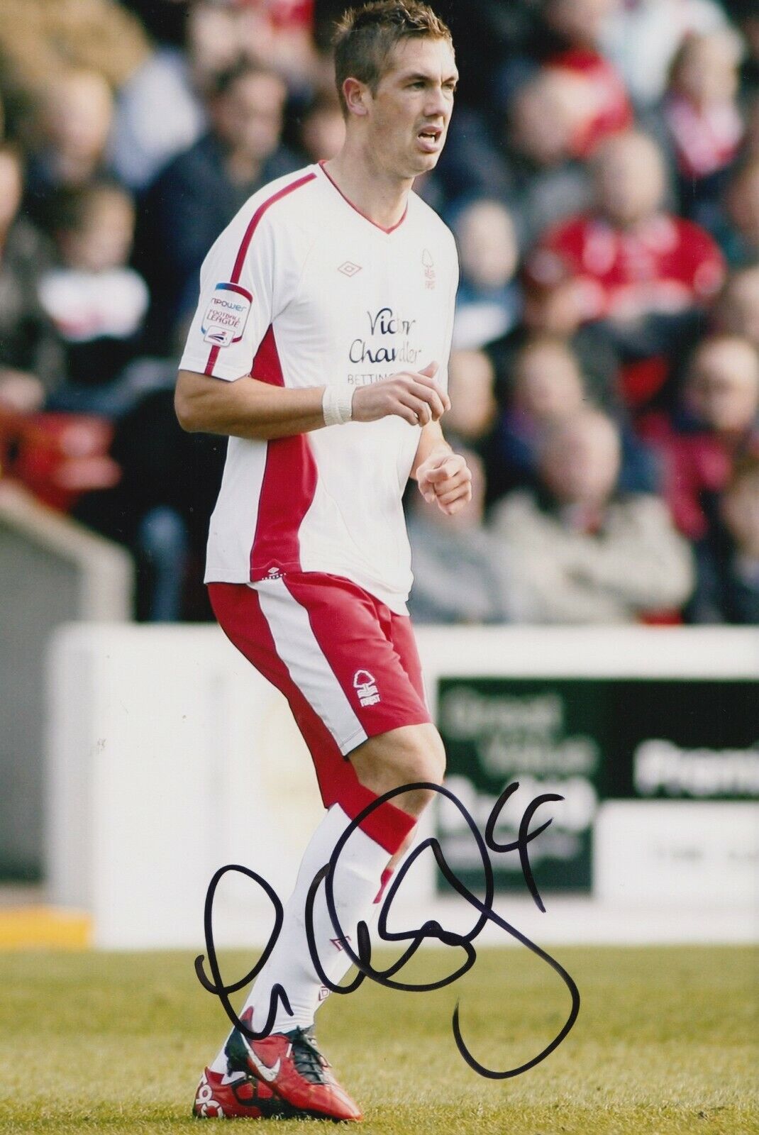 Luke Chambers Hand Signed 12x8 Photo Poster painting - Nottingham Forest - Football Autograph.