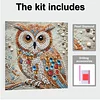 Framed Diamond Painting - Special Shaped - Owl(25x25cm)
