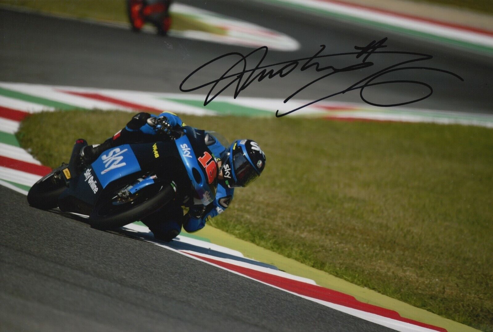 Andrea Migno Hand Signed 12x8 Photo Poster painting - SKY Racing Team VR46 Moto3 - MotoGP 12.