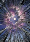 Luxury AB Velvet Diamond Painting Kit - landscape
