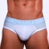 New cotton sexy men's briefs