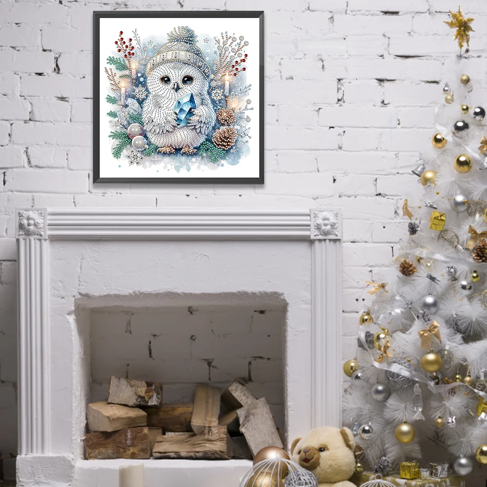Diamond Painting - Partial Special Shaped Drill - Winter Owl(Canvas|30*30cm)