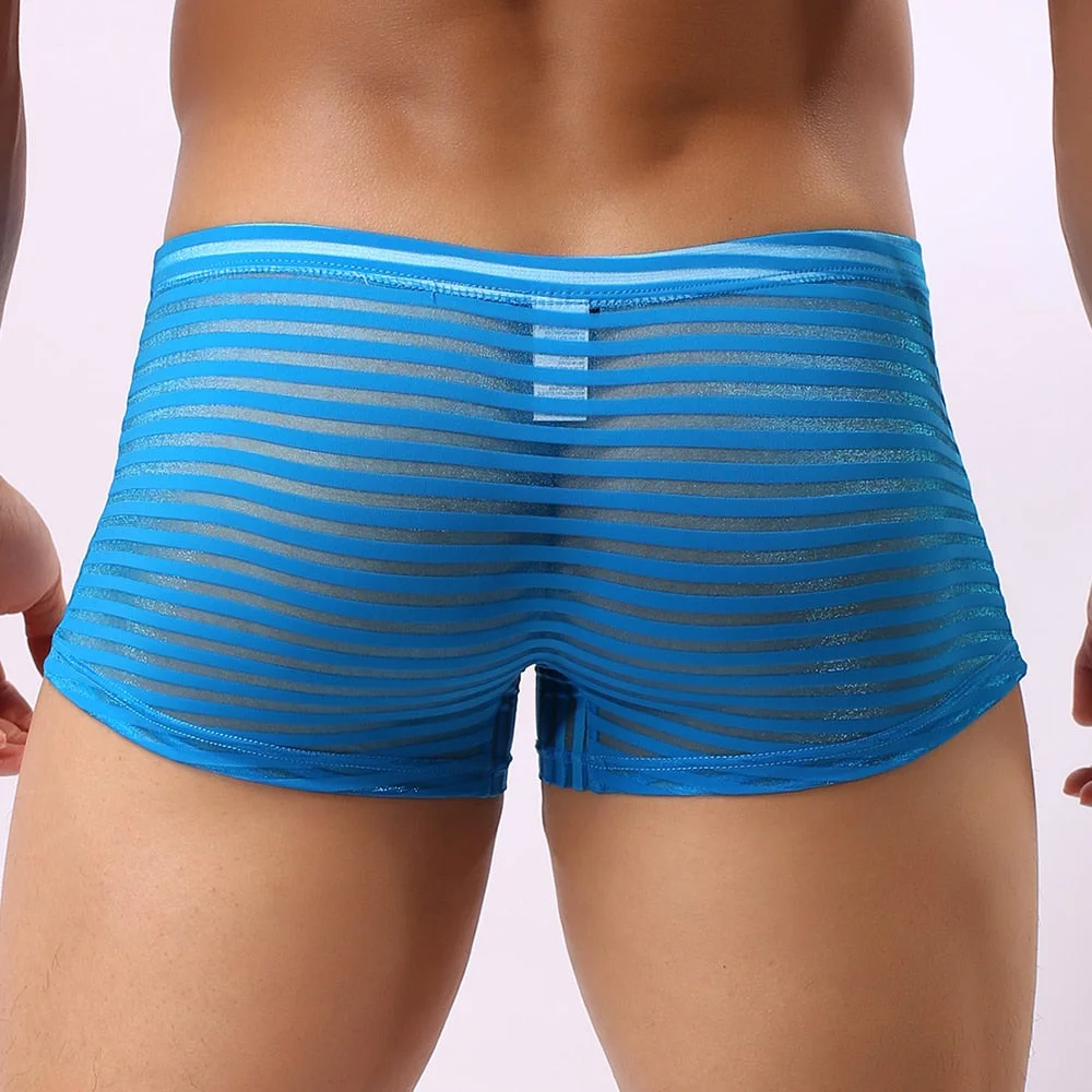 Aonga  Men See Through Seamless Boxer Briefs Underwear Shorts Trunks Underpants  Men's Underwear Front Convex See Through Mens