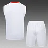 2025/2026 Bayern Munich Pre-Match Training 125th Anniversary of White Vest+Shorts Football1:1 Thai Quality