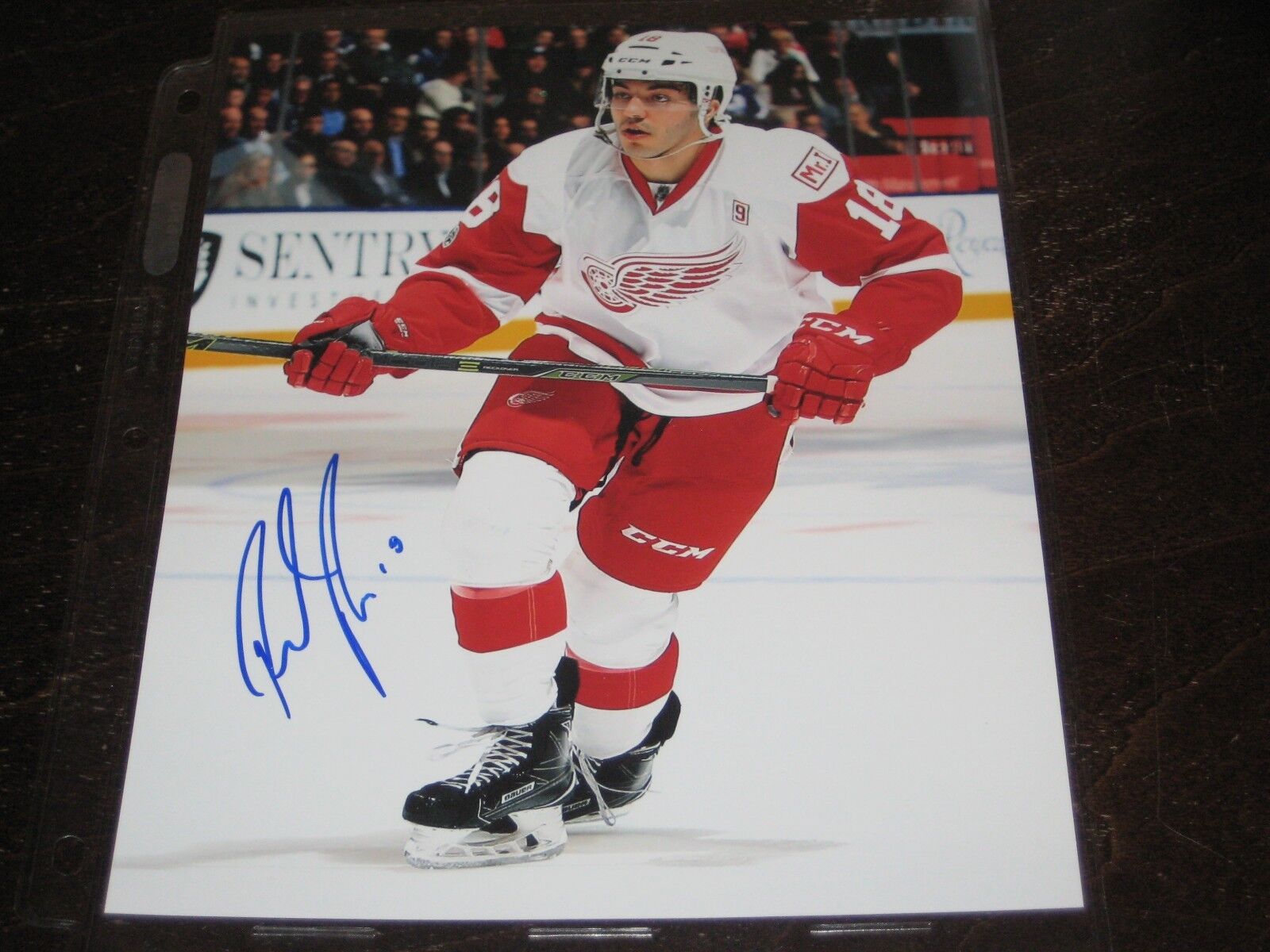 ROBBIE RUSSO autographed DETROIT RED WINGS 8x10 Photo Poster painting