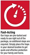 Catchmaster 72 Pack MaxCatch Rat & Mouse Indoor Outdoor Glue Pest Trap