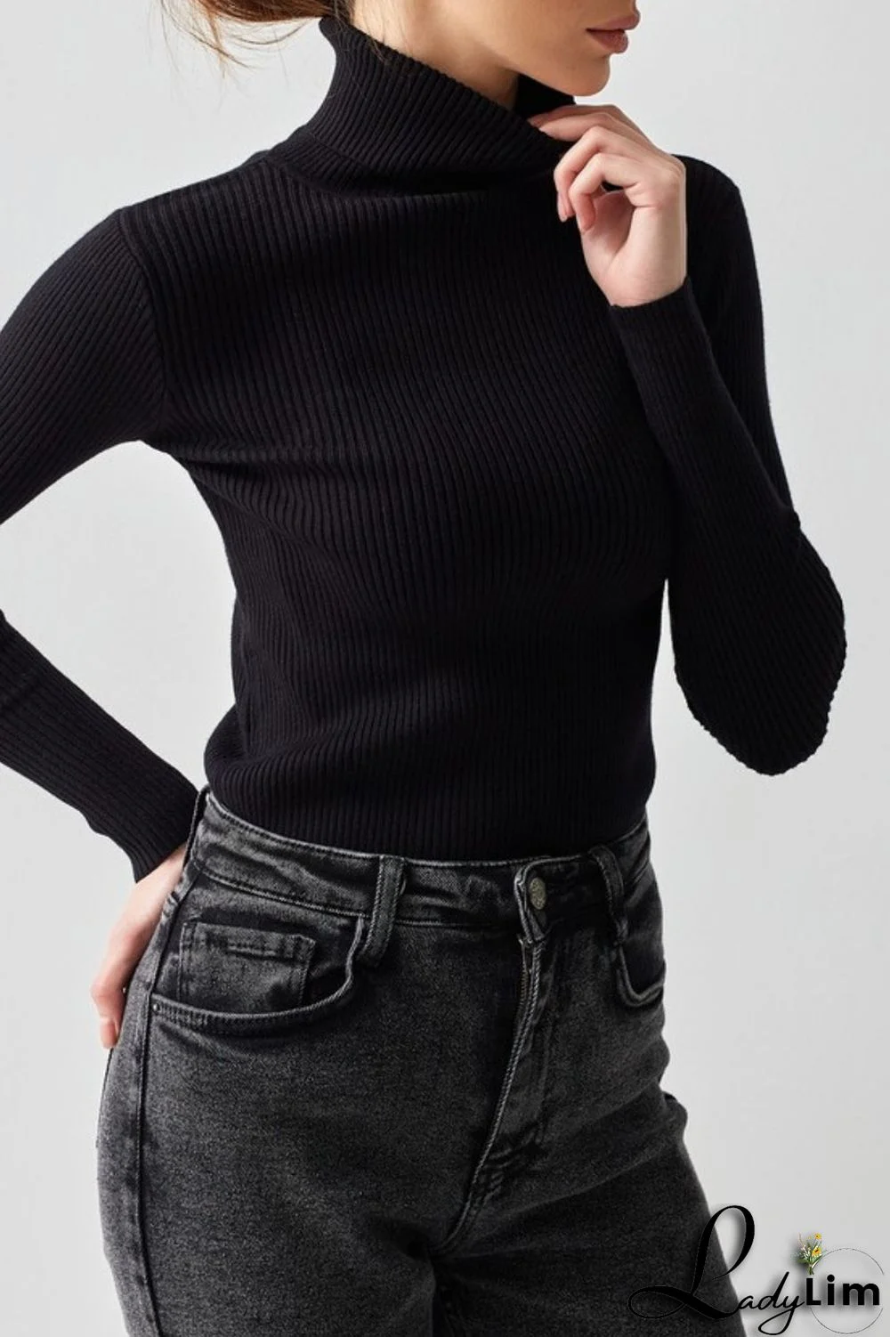 Black Casual Solid Basic Turtleneck Tops