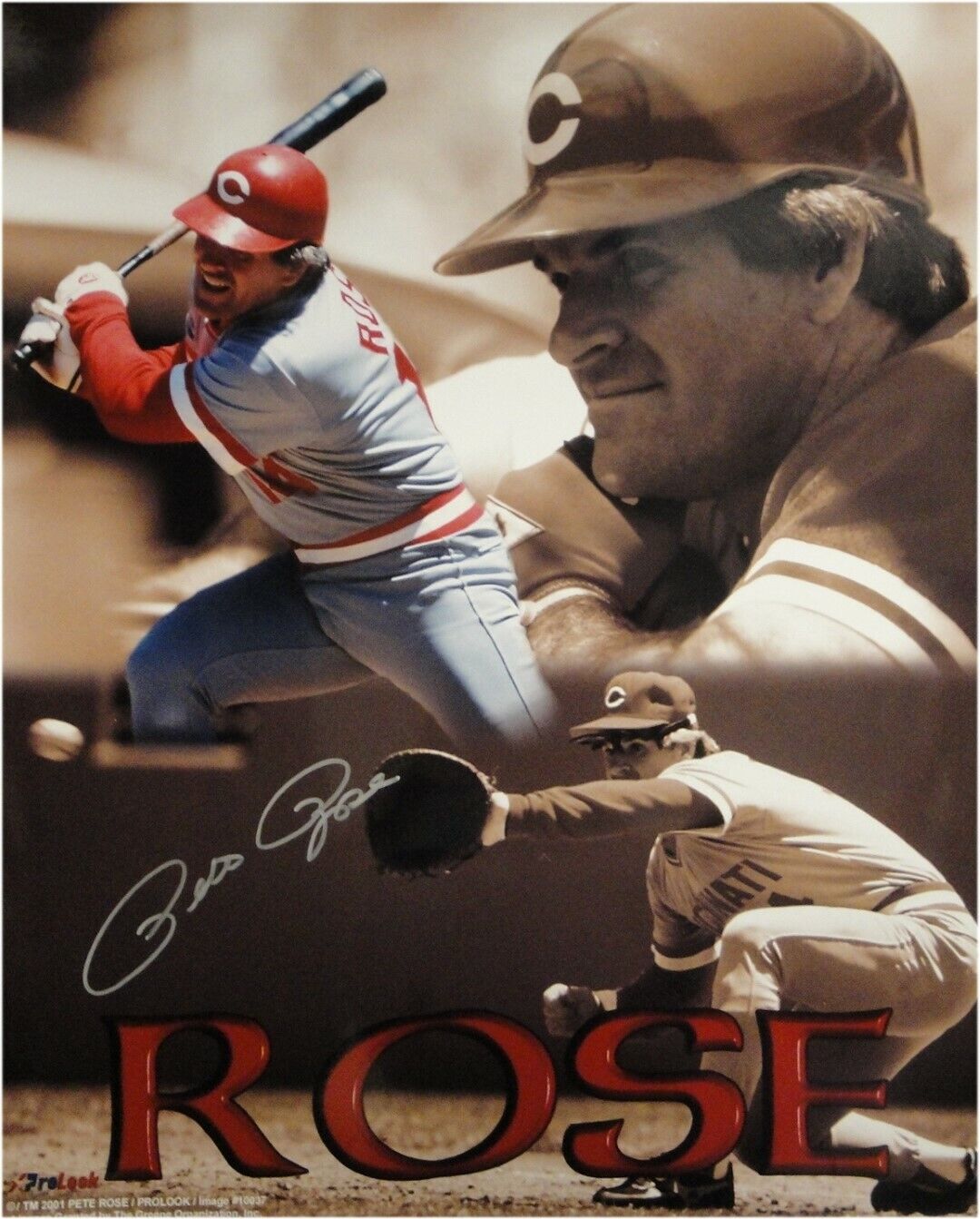 Pete Rose Hand Signed Autographed 16x20 Photo Poster painting Cincinnati Reds 1st Base Collage