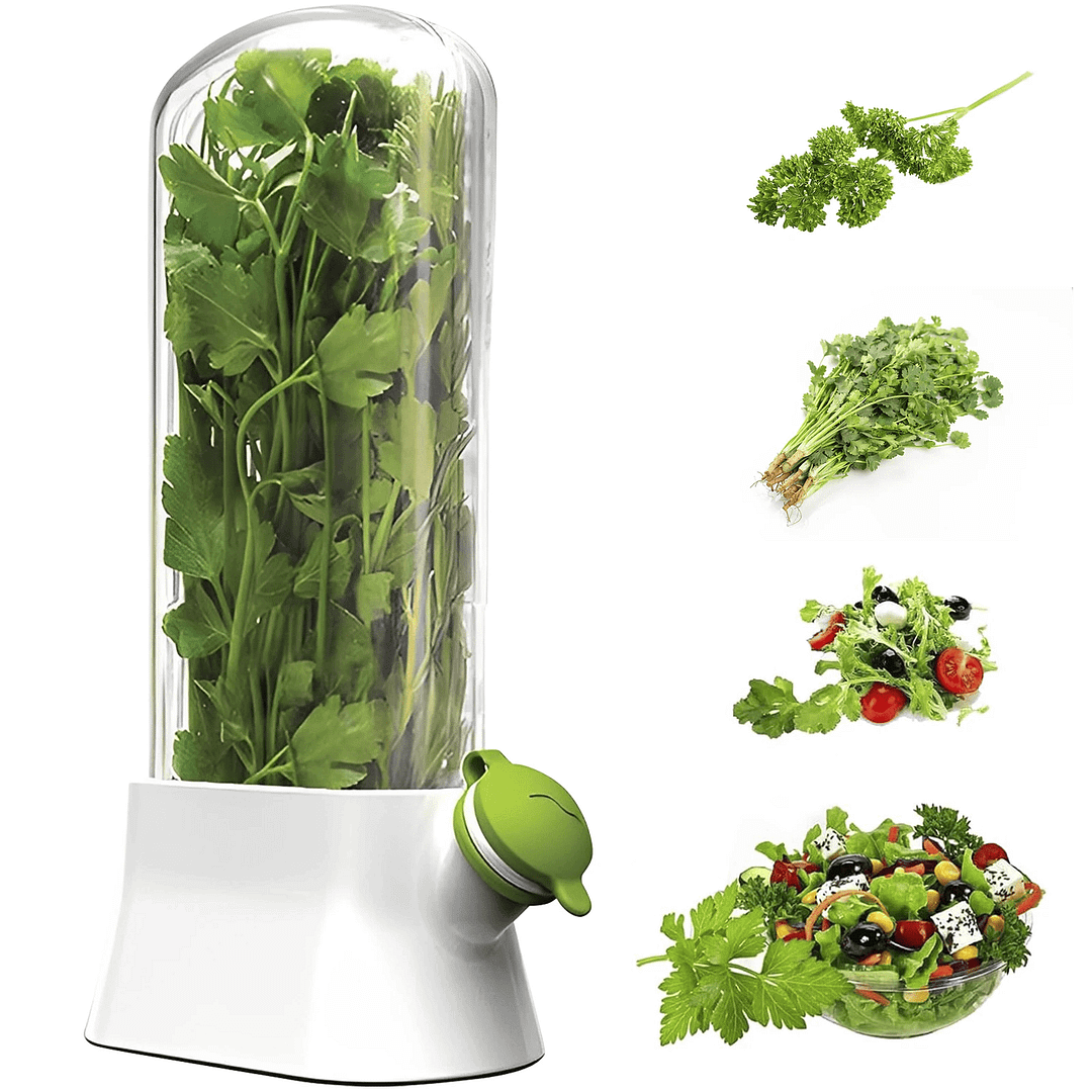 Refrigerator Clear Fresh Herb Saver Pod Cilantro Saver Container 