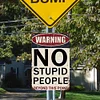 Warning No Stupid People Beyond This Point  - Vintage Metal Signs(8*12Inch/12*16Inch) - Warning